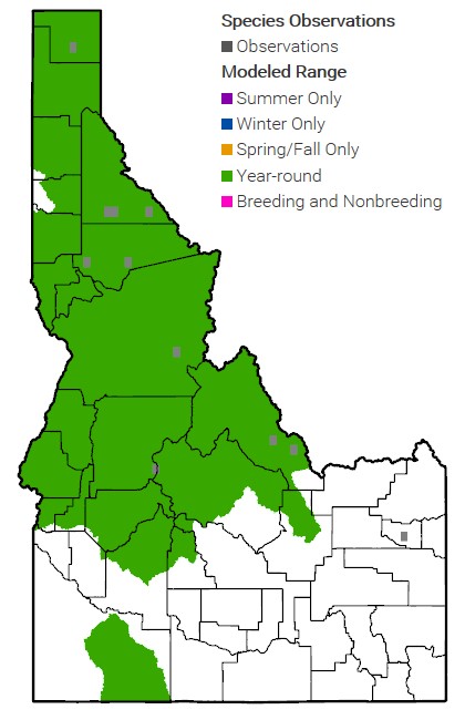Bull Trout Range Map