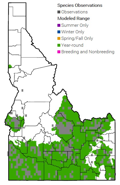 GSG Map