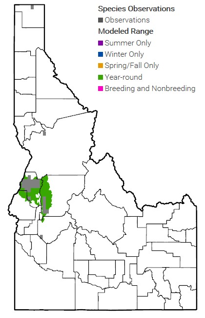 N. Id Ground Squirrel Range Map