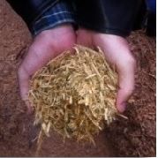 bioenergy